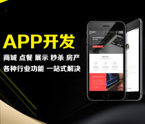 河南App商城定制产品库——计算机软件设计领域的新生态探索